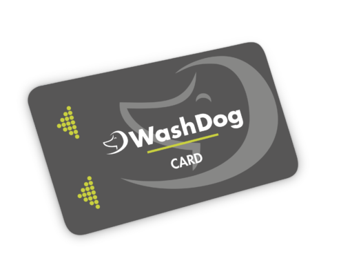 Wash Dog Card